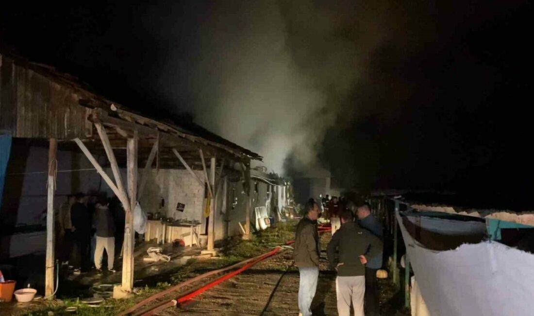 Bursa’da hayvan çiftliği alevlere teslim oldu Bursa’nın İnegöl ilçesinde çıkan yangında büyükbaş hayvan çiftliği kullanılamaz hale