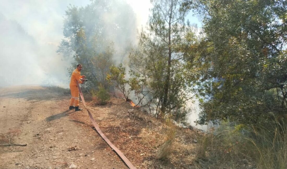 Bursa’da orman yangını Bursa’nın Keles ilçesinde Kemaliye ile Yazıcıbaşı mahalleleri arasındaki ormanlık alanda