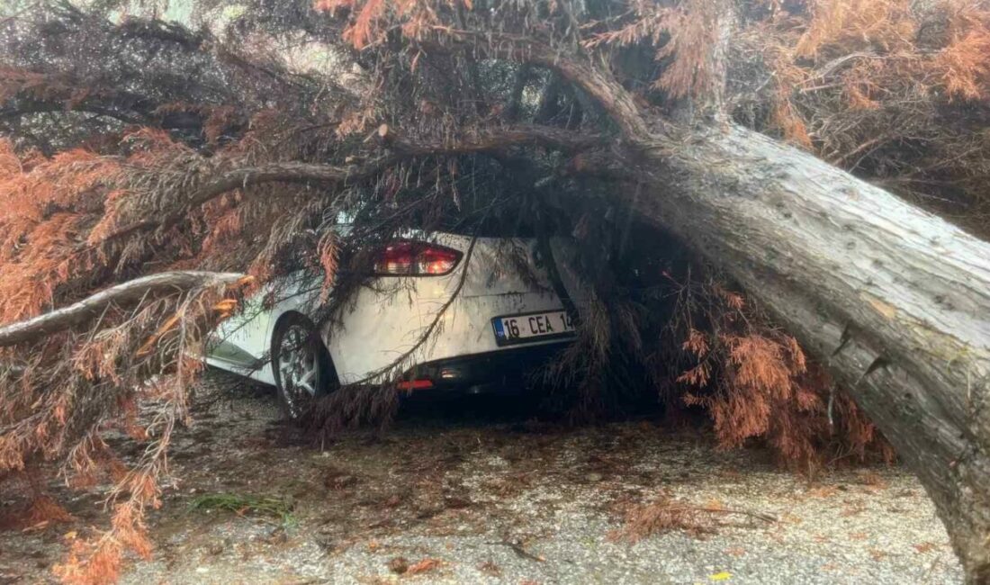 Bursa’da sağanak yağış ağacı devirdi, otomobilin üzerine düştü BURSA (İHA) – Bursa’da şiddetli yağışın etkisiyle devrilen ağaç, park
