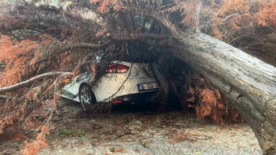 BURSA (İHA) – Bursa’da şiddetli yağışın etkisiyle devrilen ağaç, park