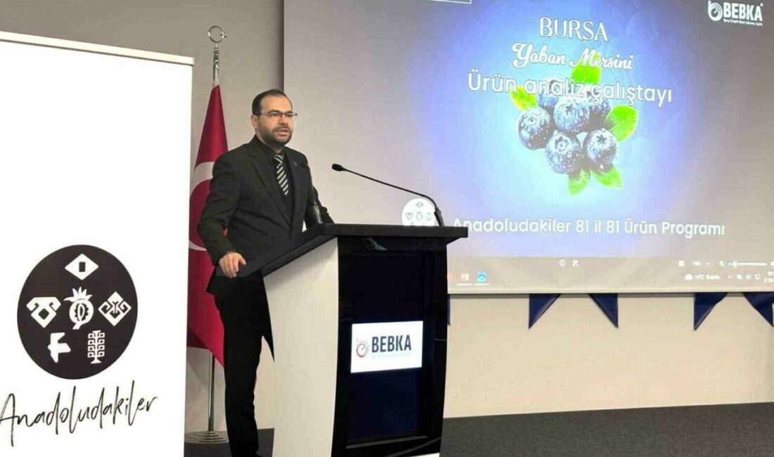 Bursa’nın yaban mersini için yol haritası paydaşlarla çiziliyor Bursa Eskişehir Bilecik Kalkınma Ajansı (BEBKA) tarafından, “Anadoludakiler: 81 İl