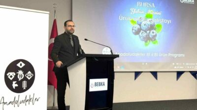 Bursa Eskişehir Bilecik Kalkınma Ajansı (BEBKA) tarafından, “Anadoludakiler: 81 İl