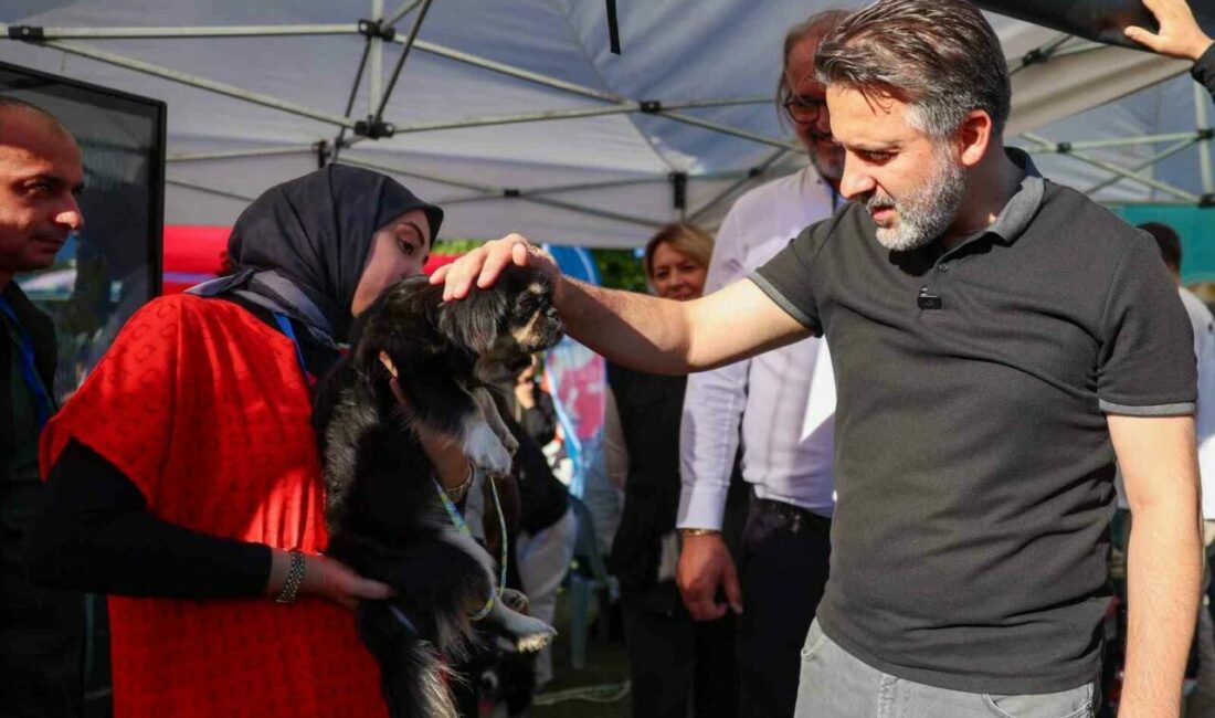 Büyükşehir’den can dostları için yuva seferberliği Bursa Büyükşehir Belediyesi, can dostların hayat şartlarını iyileştirmek ve sahiplendirmeyi