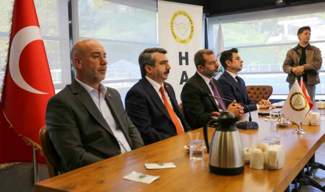 HAGEL’den tarım ve hayvancılıkta yeni dönem hamlesi Bursa İli Tarım ve Hayvancılığı Geliştirme Birliği (HAGEL), yeni dönemde