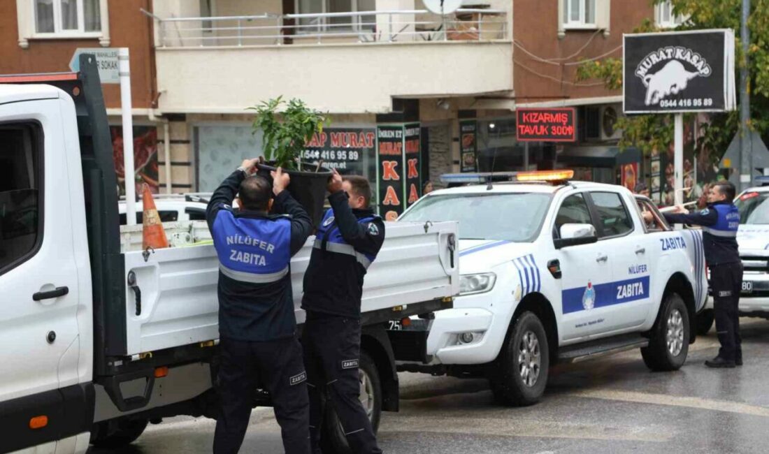 Nilüfer’de kaldırım ve yolları işgal eden tabelalar toplandı Nilüfer Belediyesi ekipleri, yaya, bisiklet ve engelli yollarını kapatan tabela,
