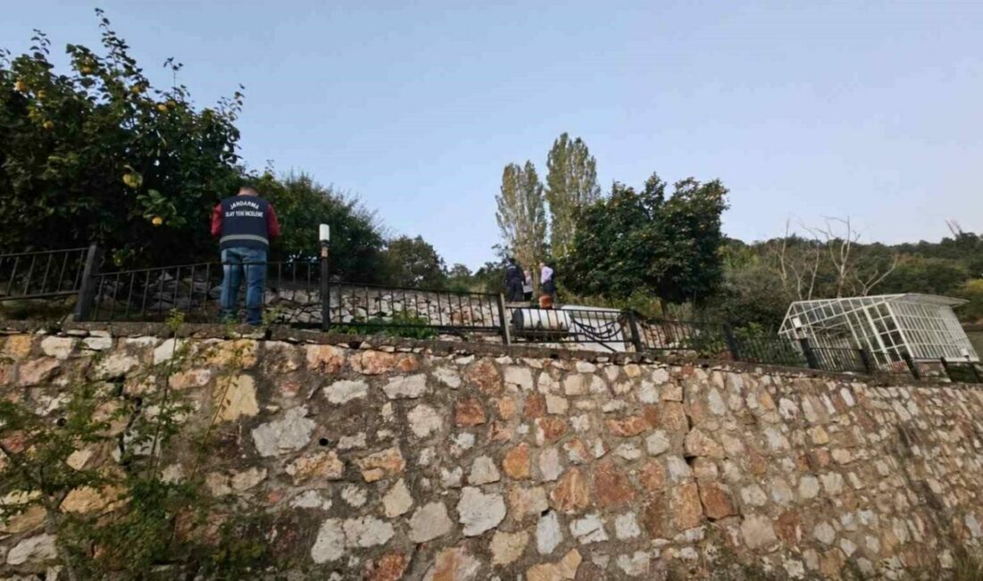 Bursa’nın Orhangazi ilçesinde bir villanın bahçesindeki 30 güneş paneli, kimliği