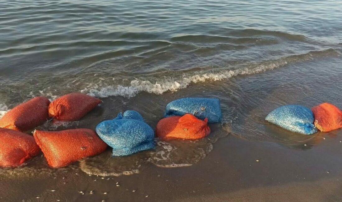 Yasa dışı kum şırlanı avcılığına geçit yok Mudanya İlçe Tarım Müdürlüğü ve Sahil Güvenlik ekipleri tarafından Eğerce
